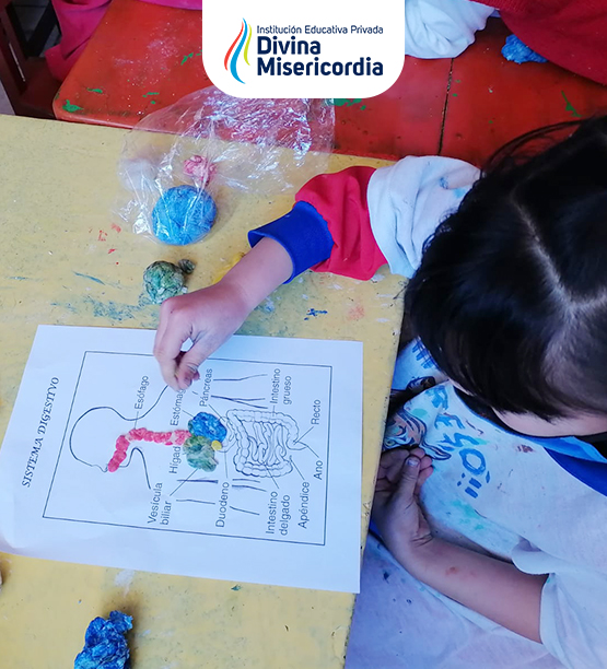 Colegio particular Alto Libertad inicial primaria Cerro Colorado